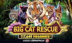 Big Cat Rescue Megaways slot game